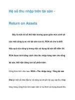 Hệ số thu nhập trên tài sản - Return on Assets doc