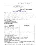 GIÁO ÁN LỚP 4 TUẦN 34