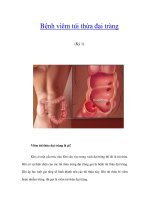 Bệnh viêm túi thừa đại tràng (Kỳ 1) ppsx