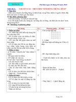 Giáo án lớp 2 tuần 33 (CKTKN)