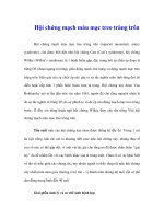 Hội chứng mạch máu mạc treo tràng trên ppt