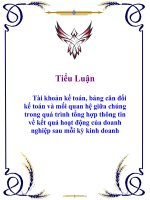 Tiểu luận: Tài khoản kế toán, bảng cân đối kế toán và mối quan hệ giữa chúng trong quá trình tổng hợp thông tin về kết quả hoạt động của doanh nghiệp sau mỗi kỳ kinh doanh ppt