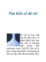 Tìm hiểu về đá vôi docx
