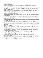 Đề thi HSG Văn 8