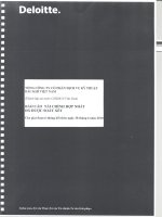 báo cáo tài chính hợp nhất đã được soát xét quý 2 năm 2010 tổng công ty cổ phần dịch vụ kỹ thuật dầu khí việt nam
