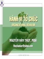 Chương 1: Giới thiệu về hành vi trong tổ chức pptx