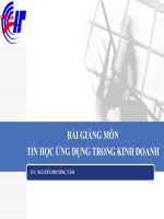 Tin học ứng dụng trong kinh doanh - Công thức mảng pdf