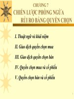 CHƯƠNG 7: CHIẾN LƯỢC PHÒNG NGỪA RỦI RO BẰNG QUYỀN CHỌN pot