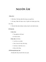 Giáo án Vật lý lớp 9 - NGUỒN ÂM doc