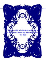 Tiểu luận - Một số giải pháp nhằm thu hút FDI vào các KCN trên địa bàn Thành phố Hồ Chí Minh pptx