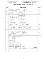 Đề thi Toán vào trường Chuyên TQ (2)