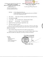 báo cáo tài chính hợp nhất quý 2 2013 tổng công ty cổ phần dịch vụ kỹ thuật dầu khí việt nam