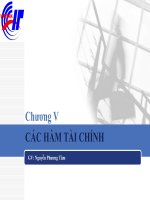 Tin học ứng dụng trong kinh doanh - Các hàm tài chính potx