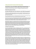 Những phương thuốc bí truyền chữa bệnh tăng huyết áp pdf