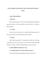 SỰ XUẤT HIỆN LOÀI NGƯỜI VÀ BẦY NGƯỜI NGUYÊN THUỶ (Tiết 1) - Giáo án lịch sử lớp 9 pptx