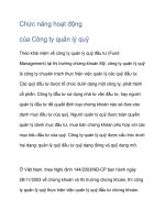 Chức năng hoạt động của Công ty quản lý quỹ pdf