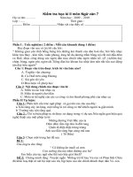 Đề thi học kì II - Ngữ văn 7