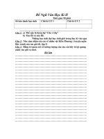 ĐỀ NGỮ VĂN HỌC KÌ II( THCS Tran Mai Ninh) TPTH