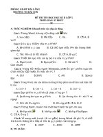 Đề thi HKII lớp 5