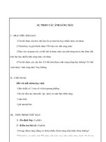 Giáo án Vật lý lớp 9 - SỰ TRỘN CÁC ÁNH SÁNG MÀU doc