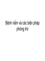 Bệnh nấm và các biện pháp phòng trừ docx