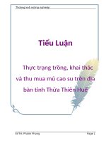 Tiểu luận: Thực trạng trồng, khai thác và thu mua mủ cao su trên địa bàn tỉnh Thừa Thiên Huế pptx