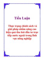 Tiểu luận: Thực trạng chính sách và giải pháp nhằm nâng cao hiệu quả thu hút đầu tư trực tiếp nước ngoài trong lĩnh vực nông nghiệp ppsx