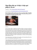 Hợp đồng dân sự vô hiệu và hậu quả pháp lý của ppt