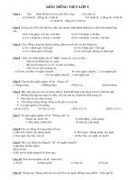 Đề thi MÔN TIẾNG VIỆT LỚP 5 pps