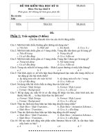 đề thi tin 9 chuẩn