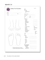 Appendix 1 (Part 1): Diabetic Foot Evaluation pdf