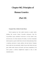 Chapter 062. Principles of Human Genetics (Part 10) docx