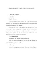 Lịch sử 10 nâng cao - SỰ THÀNH LẬP VÀ TỔ CHỨC VƯƠNG TRIỀU NGUYỄN pps