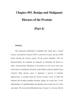 Chapter 091. Benign and Malignant Diseases of the Prostate (Part 4) potx