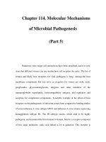 Chapter 114. Molecular Mechanisms of Microbial Pathogenesis (Part 5) ppt