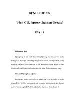 BỆNH PHONG (bệnh Cùi, leprosy, hansen disease) (Kỳ 1) ppt