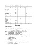 tiet30-kiemtra tieng viet co dap a