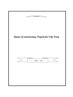 Quản trị marketing: Pepsicola Việt Nam docx