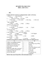 Đề Kiểm tra Học kỳ II môn Tiếng Anh khối lớp 6