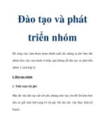 Đào tạo và phát triển nhóm pdf
