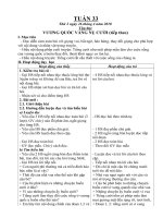 TUẦN 33 (CKT)
