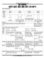 Hệ thống Kiến thức Hóa học Hữu cơ 9