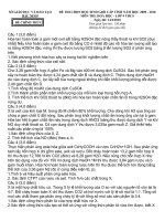 đề , đáp án HSG Tỉnh Bắc Ninh 2010