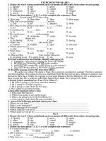 Preparation for the final exam(Cuc hay)