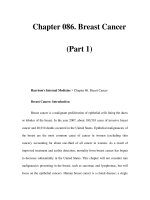 Chapter 086. Breast Cancer (Part 1) potx