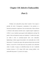 Chapter 118. Infective Endocarditis (Part 2) doc
