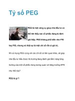 Tỷ số PEG pps