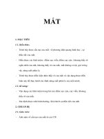 Bài giảng lý 11 NC - MẮT pps