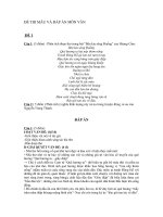 ĐỀ THI MẪU VÀ ĐÁP ÁN MÔN VĂN ĐỀ 1 ppt