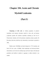 Chapter 104. Acute and Chronic Myeloid Leukemia (Part 5) docx